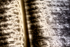Picture 24