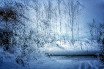 009 Winter Wonderland 4242-5-2013