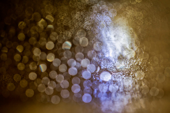 011 Spider's web 8896-2-2014