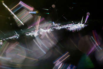 014 Spider's web 9082-2-2012