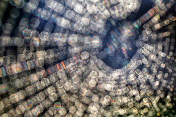 016 Spider's web 0914-2-2013